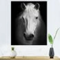 White Horse Black and  Wall Art