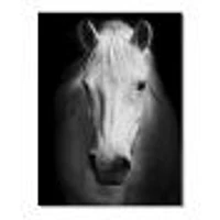 White Horse Black and  Wall Art