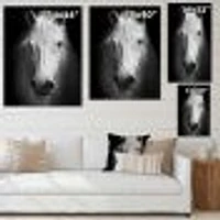 Toile « White Horse Black and »