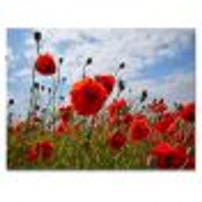 Bright Red Poppy Flowers Photo Artwork on Canvas