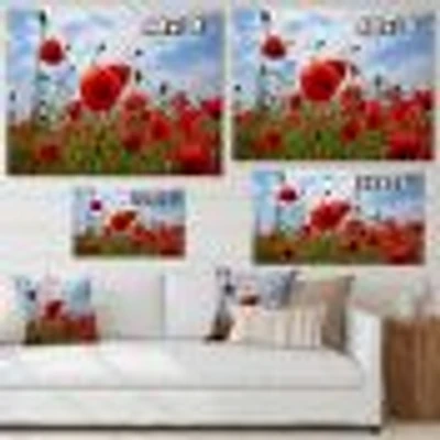 Toile  « Bright Red Poppy Flowers Photo »