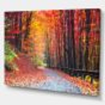 Road Beautiful Autumn Forest  Canvas Art