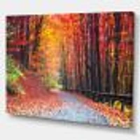 Toile « Road Beautiful Autumn Forest »