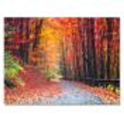 Toile « Road Beautiful Autumn Forest »