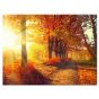 Autumnal Trees Sunrays Wall Art