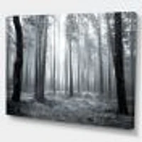 Black and White Foggy Forest Canvas Wall Art