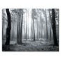 Black and White Foggy Forest Canvas Wall Art