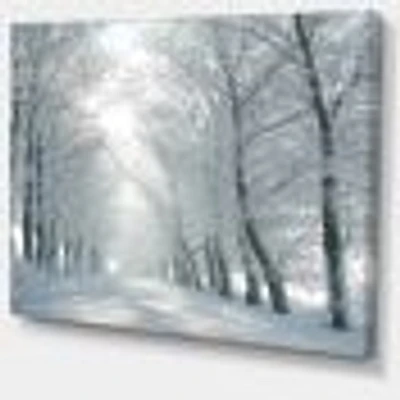 Winter Road Backlit my Morning Sun  Wall Art
