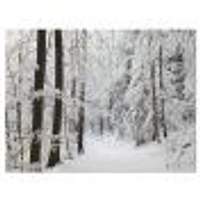 Dense Winter Forest and Lane  Wall Art