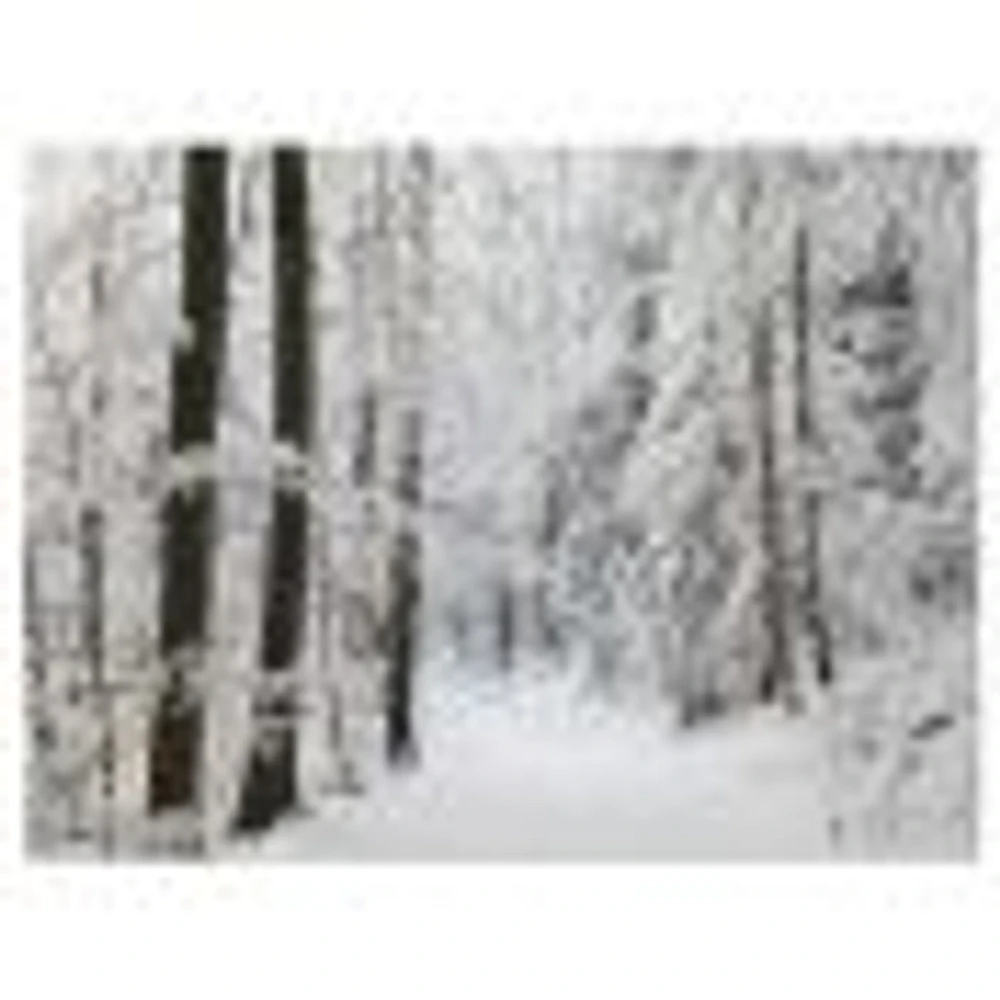 Toile « Dense Winter Forest and Lane