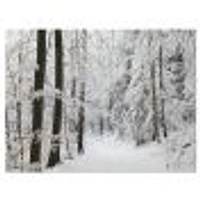 Toile « Dense Winter Forest and Lane