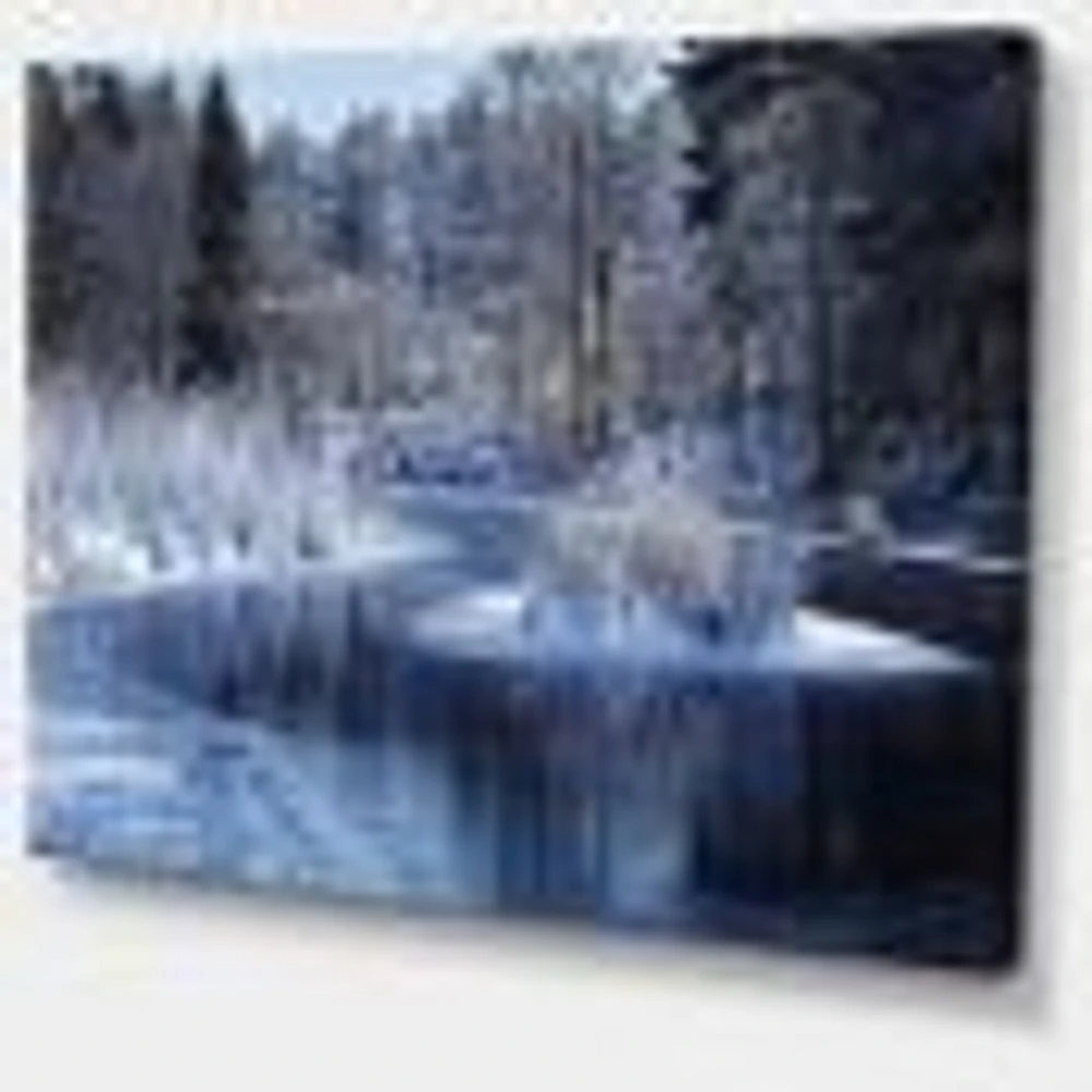 Winter Lake Deep Forest  Wall Art