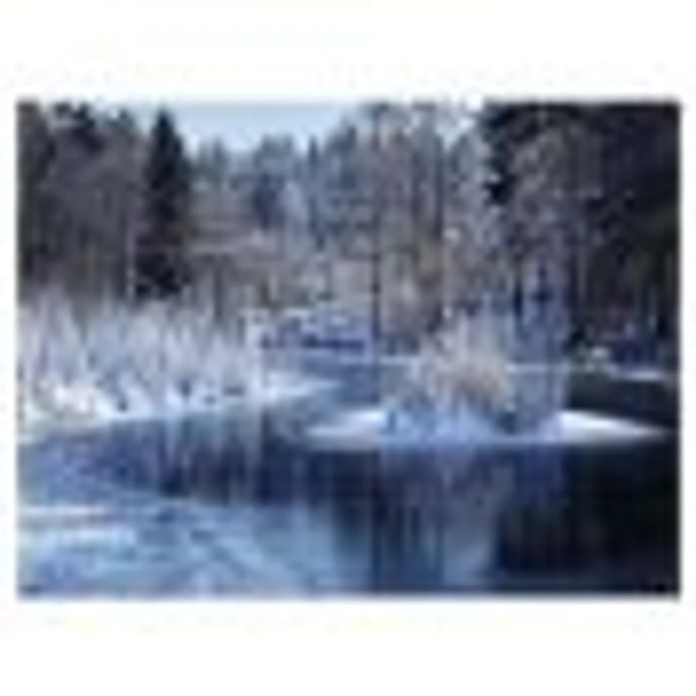 Winter Lake Deep Forest  Wall Art