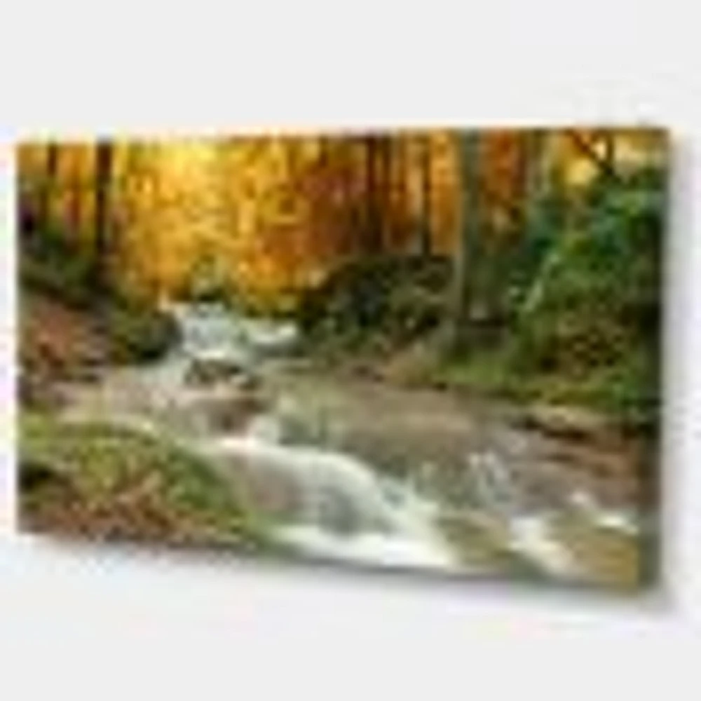 Forest Waterfall with Yellow Trees  Artwork Canvas Print