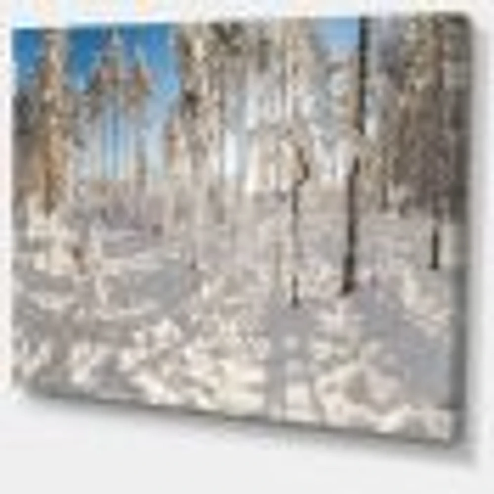 Winter Snow Covered Wood  Wall Art