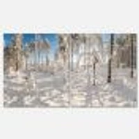 Winter Snow Covered Wood  Canvas Wall Art