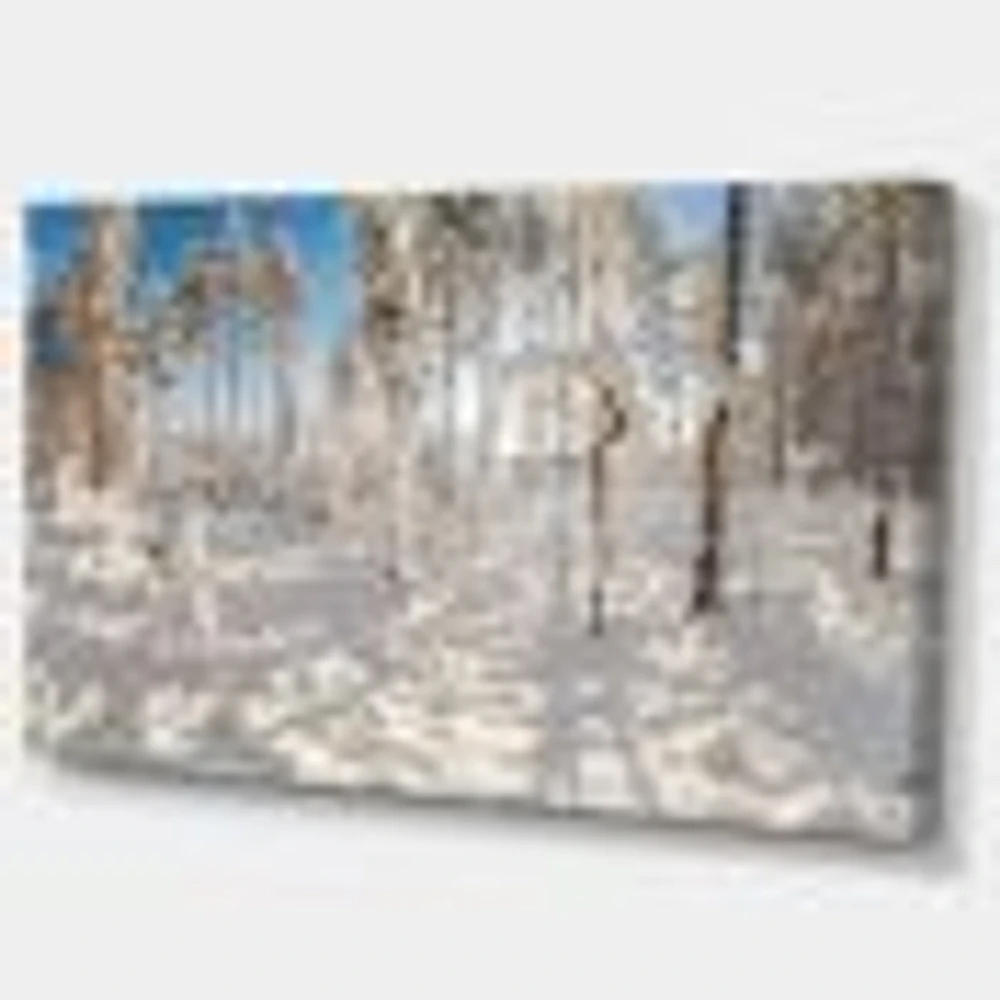 Winter Snow Covered Wood  Wall Art