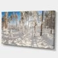 Winter Snow Covered Wood  Wall Art