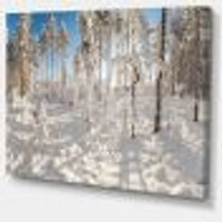 Winter Snow Covered Wood  Wall Art