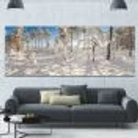 Winter Snow Covered Wood  Wall Art