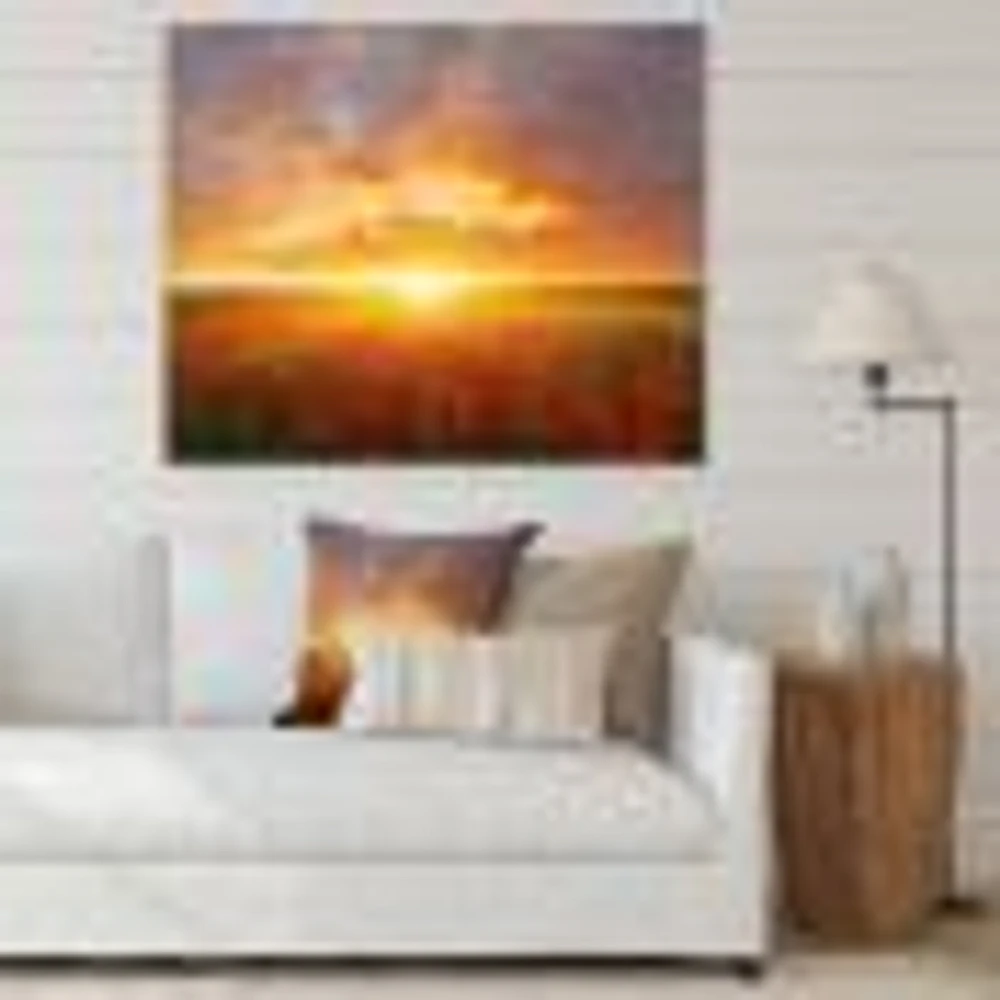 Poppy Field under Bright Sunset  Wall Art