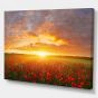 Poppy Field under Bright Sunset  Wall Art