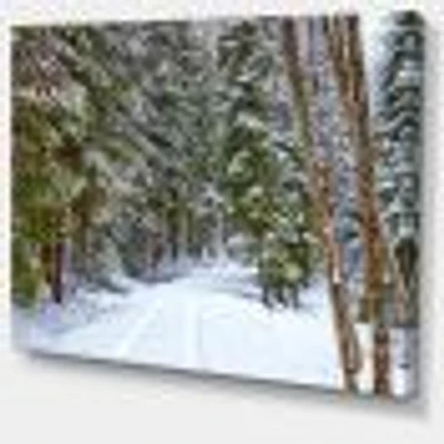 Snowy Road the Forest  Wall Art