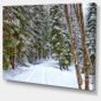 Snowy Road the Forest  Wall Art