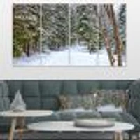 Snowy Road the Forest  Canvas Wall Art