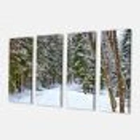 Snowy Road the Forest  Canvas Wall Art