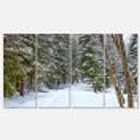 Snowy Road the Forest  Canvas Wall Art