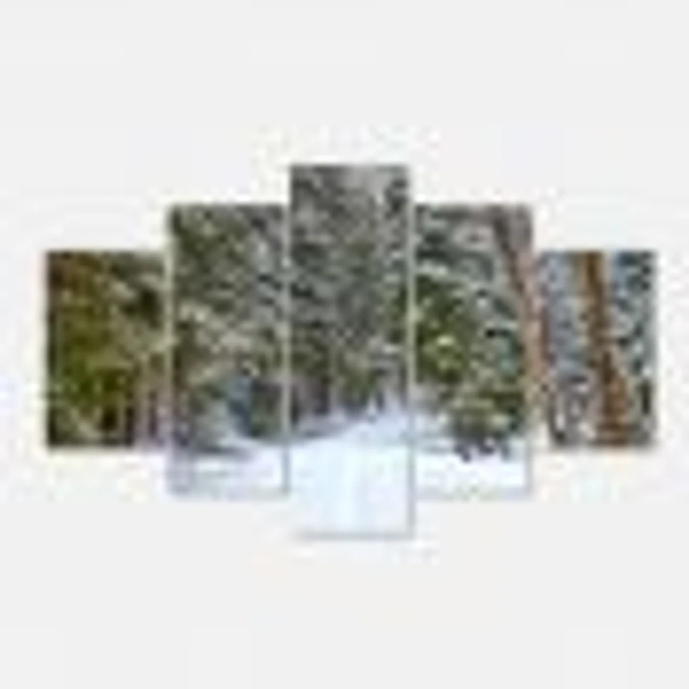 Snowy Road the Forest  Canvas Wall Art