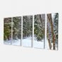 Snowy Road the Forest  Canvas Wall Art