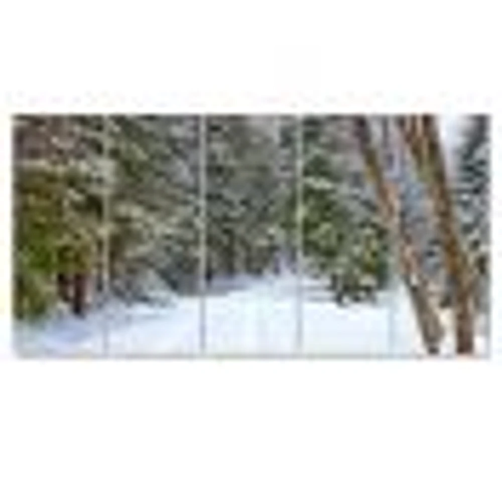 Snowy Road the Forest  Canvas Wall Art