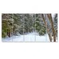 Snowy Road the Forest  Canvas Wall Art