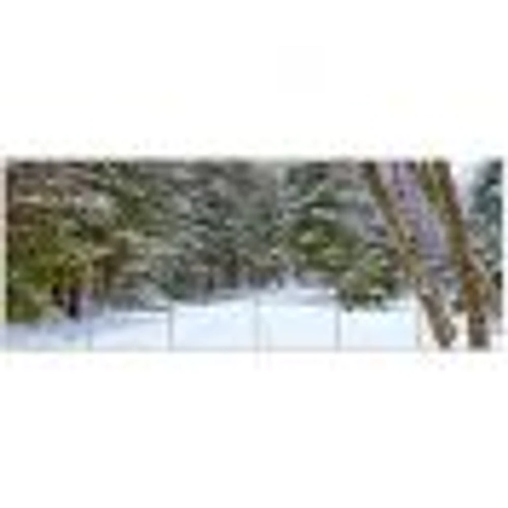 Snowy Road the Forest  Canvas Wall Art