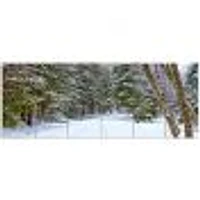 Snowy Road the Forest  Canvas Wall Art