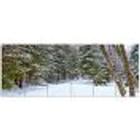 Snowy Road the Forest  Canvas Wall Art