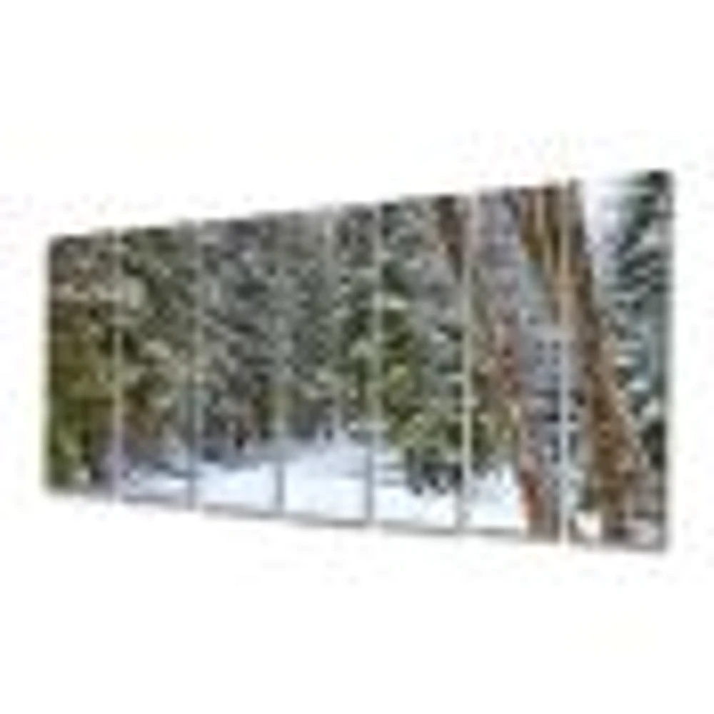 Snowy Road the Forest  Canvas Wall Art