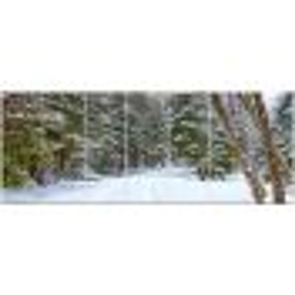 Snowy Road the Forest  Canvas Wall Art