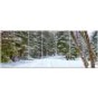 Snowy Road the Forest  Canvas Wall Art