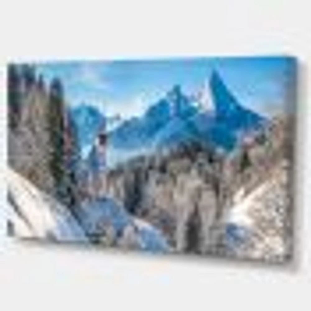 Winter the Bavarian Alps  Wall Art