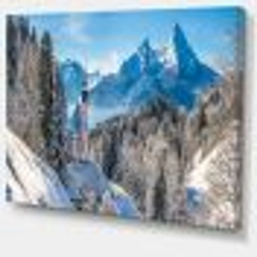 Winter the Bavarian Alps  Wall Art