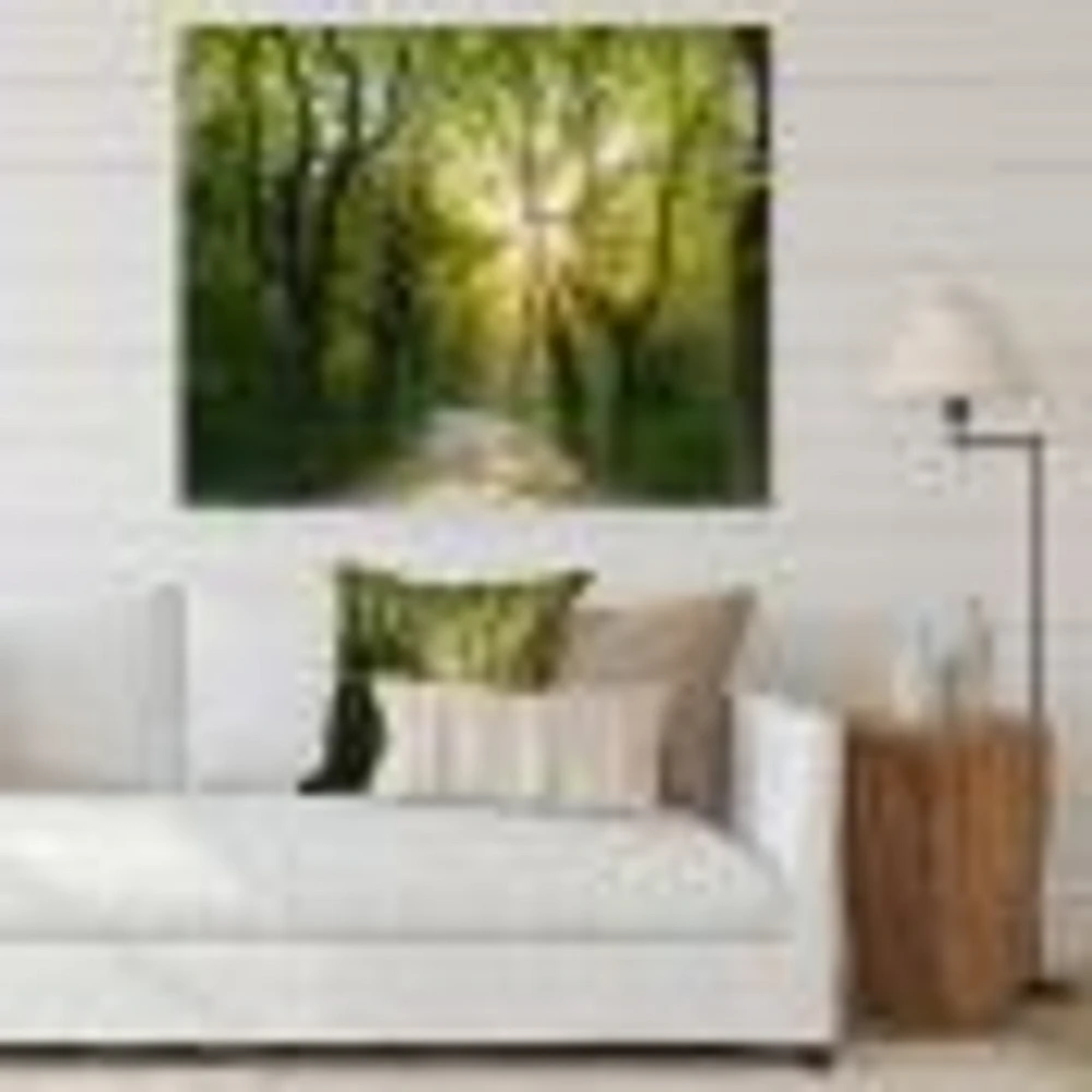 Toile  imprimée « Evening Green Forest »