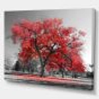 Toile  imprimée « Big Red Tree on Foggy Day »