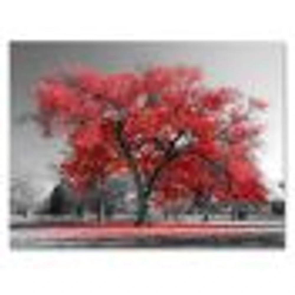 Toile  imprimée « Big Red Tree on Foggy Day »