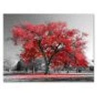 Toile  imprimée « Big Red Tree on Foggy Day »