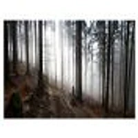 Toile « Misty Forest Morning Panorama