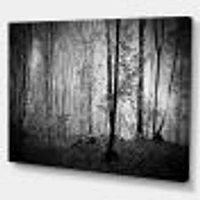 Toile  imprimée « Beautiful Forest Morning Panorama »