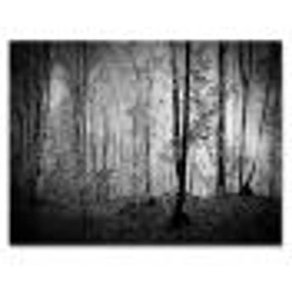 Toile  imprimée « Beautiful Forest Morning Panorama »